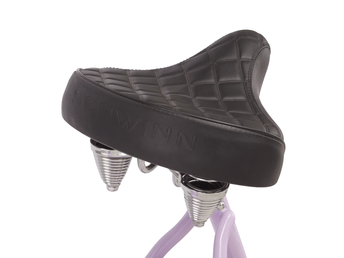 Schwinn steel frame bikes shop